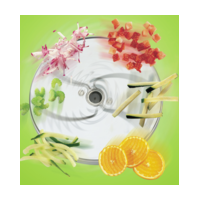 Vegetable Prep Discs