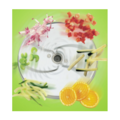 Vegetable Preparation Discs